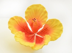 Cukrový květ - IBIŠEK žlutooranžový 1ks