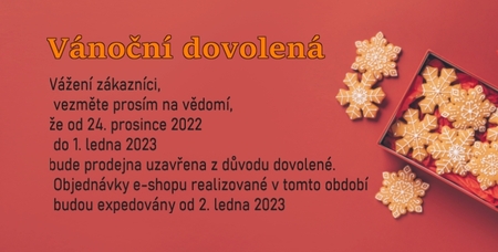 Vánoční dovolená