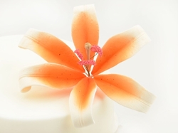 Cukrový květ - LILIE oranžová 1ks