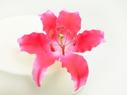 Cukrový květ - LILIE růžová 1ks