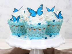 Dekorace z jedlého papíru Motýlci modří 29ks