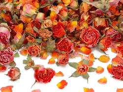 Sušené květy růží, oranžové 10g