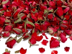 Sušené květy růží,červené 10g