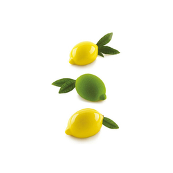 Forma silikon bílá: CITRONY 4x120ml