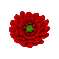 Gerbera červená - cukrový květ