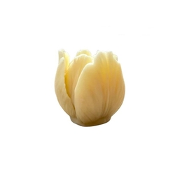 Tulipán 4   - silikonová formička